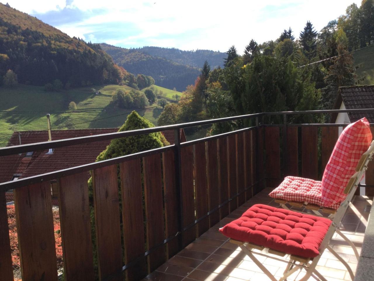 Apartmán Erikas Haus Münstertal Exteriér fotografie