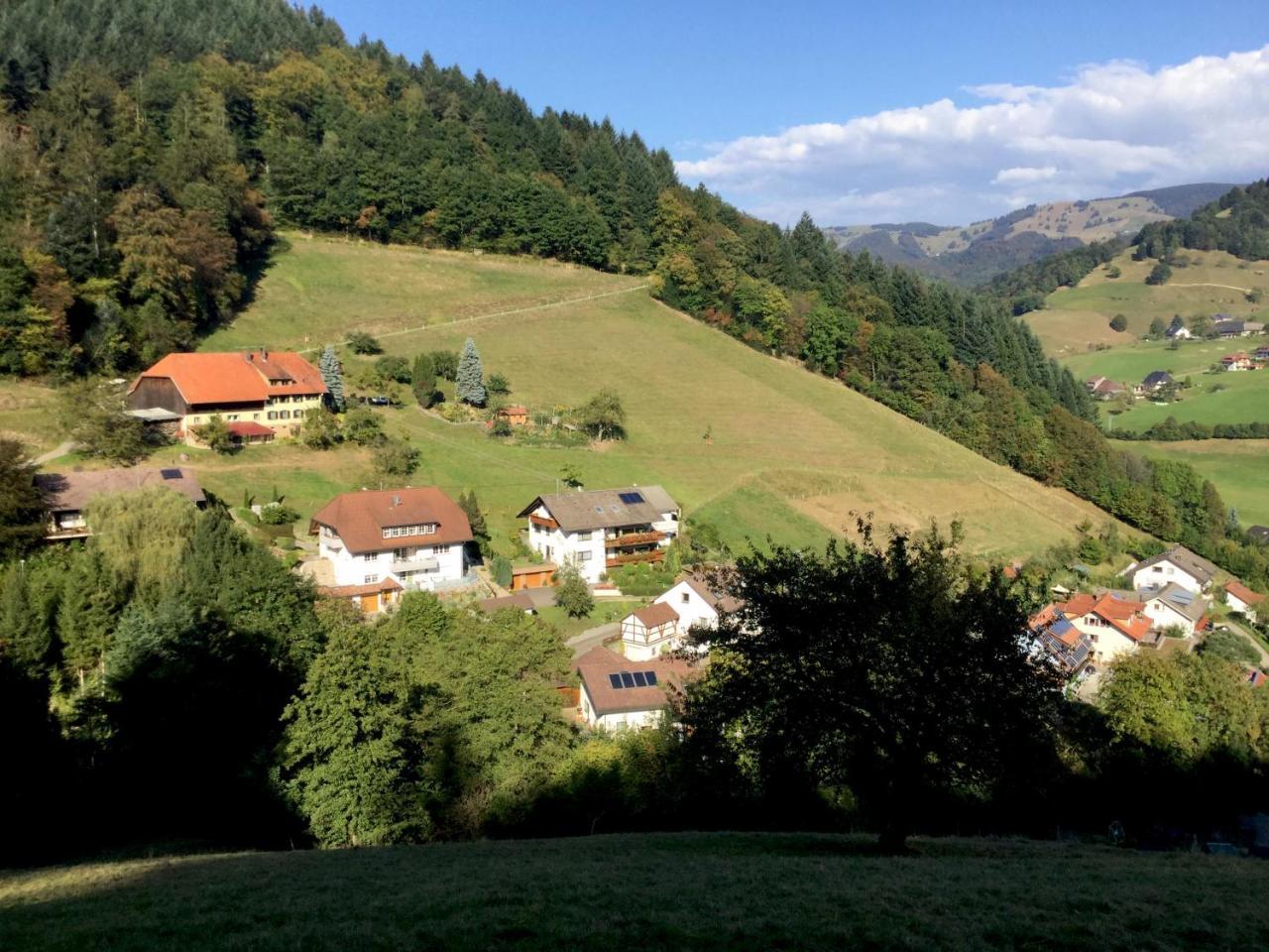Apartmán Erikas Haus Münstertal Exteriér fotografie