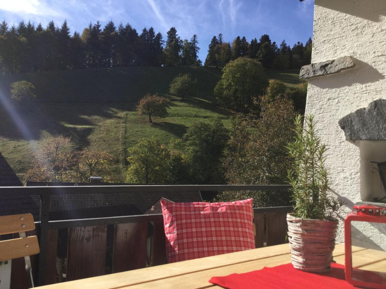 Apartmán Erikas Haus Münstertal Exteriér fotografie