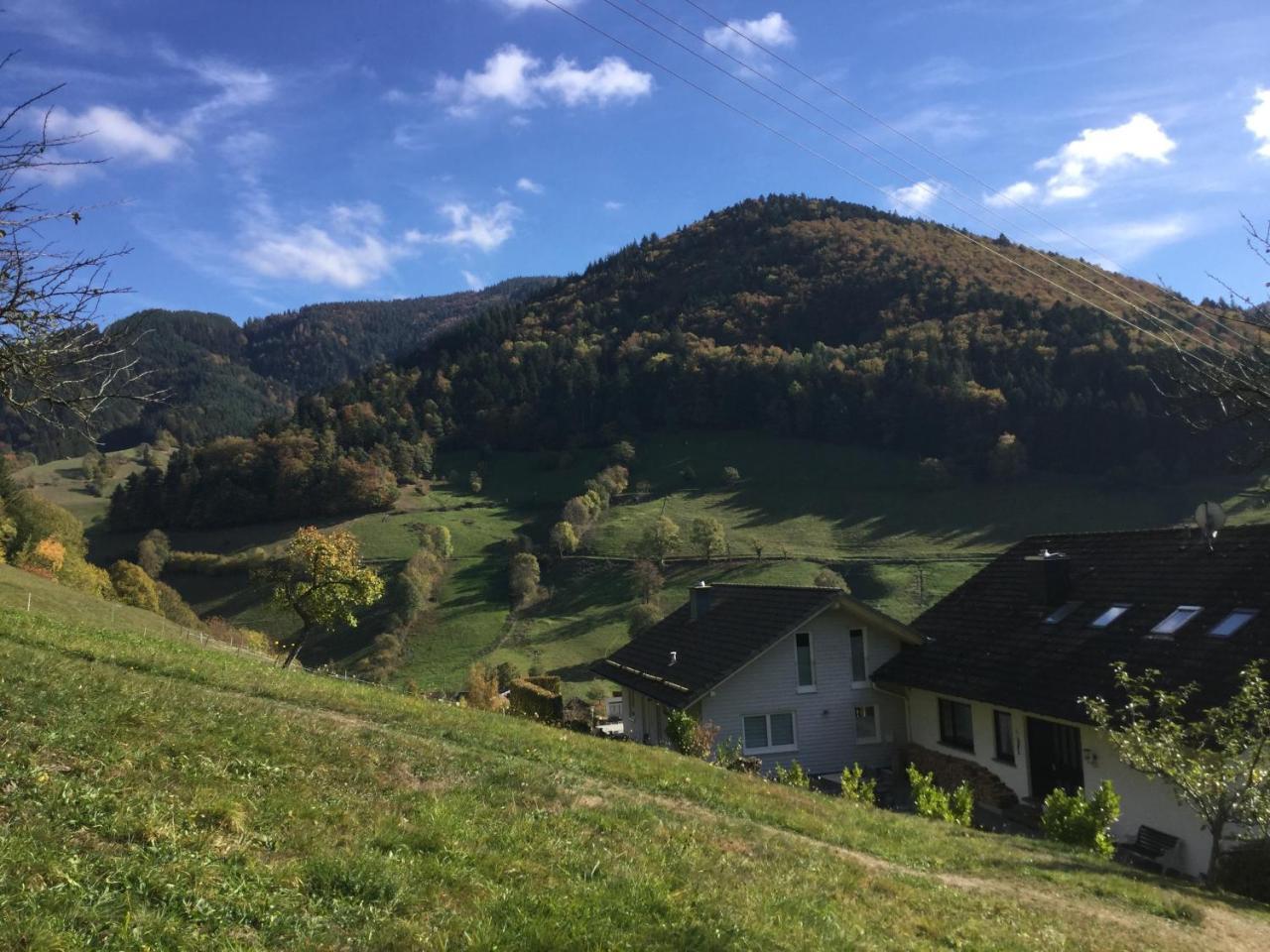 Apartmán Erikas Haus Münstertal Exteriér fotografie