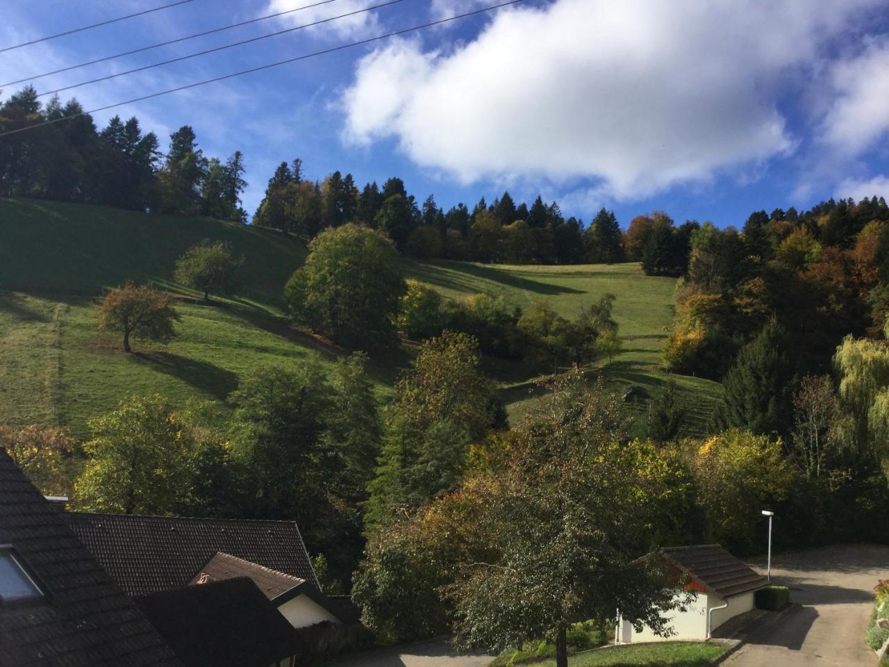 Apartmán Erikas Haus Münstertal Exteriér fotografie
