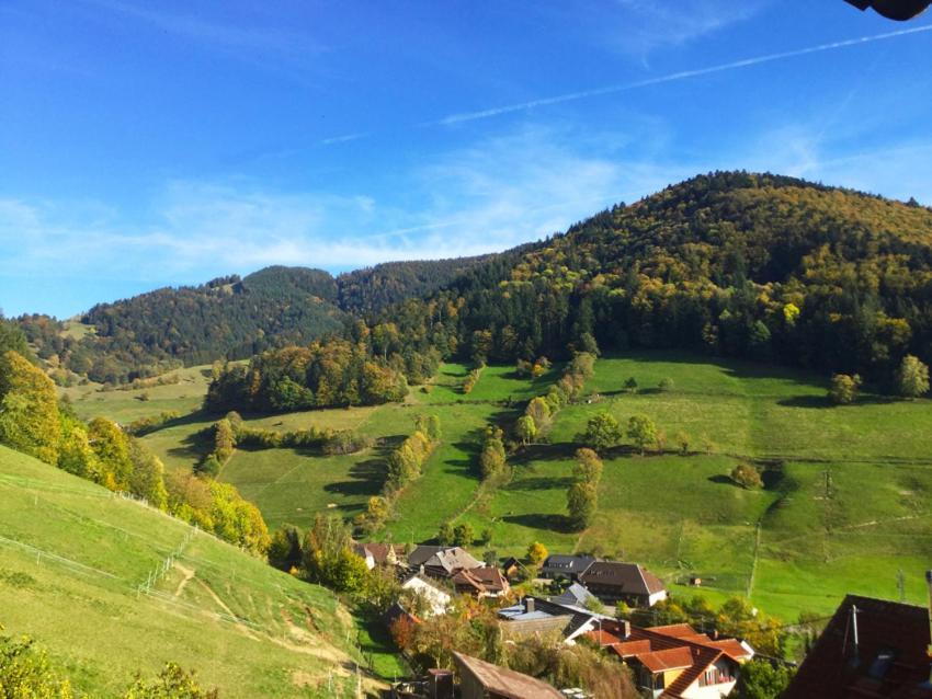 Apartmán Erikas Haus Münstertal Exteriér fotografie