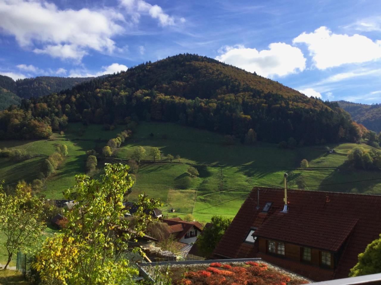 Apartmán Erikas Haus Münstertal Exteriér fotografie