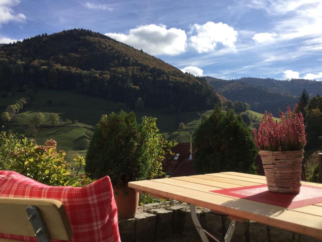 Apartmán Erikas Haus Münstertal Exteriér fotografie